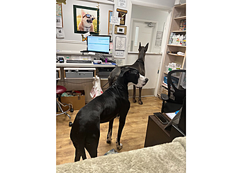 Port St Lucie Veterinary Clinics Kelly's Animal Hospital