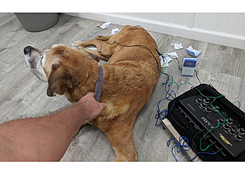 Port St Lucie Veterinary Clinics Kelly's Animal Hospital