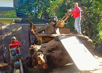 Sunnyvale Tree Services Kelly's Stump Removal, Inc.
