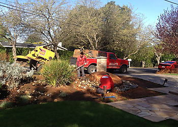 Sunnyvale Tree Services Kelly's Stump Removal, Inc.