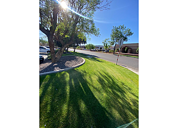 Phoenix Lawn Care Services Kenny's Lawn Service