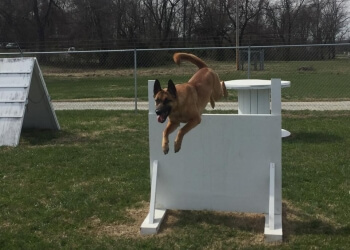 Kentuckiana K-9