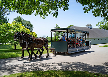 Lexington Places To See Kentucky Horse Park
