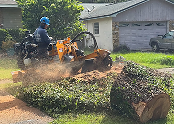 Orlando Tree Services Kevin's Tree Service