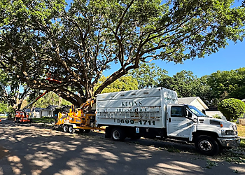 Kevin's Tree Service Orlando Tree Services image 1
