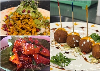 Akron Indian Restaurants Khaao Macha Indian Fusion Restaurant & Bar