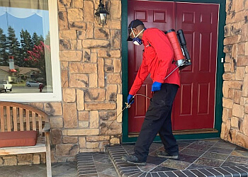 Sunnyvale Pest Control Companies Killroy Pest Control