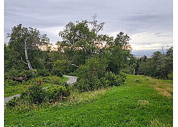 Anchorage Hiking Trails Kincaid Park
