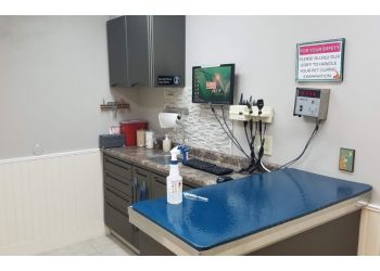 Kindness Animal Hospital - Port St Lucie, FL Veterinary Clinics - Service Highlights