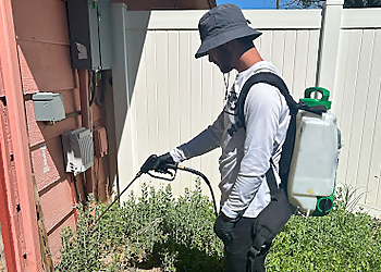 Pueblo Pest Control Companies King Pest Solutions