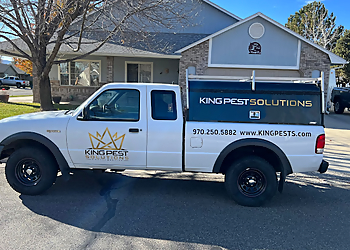 King Pest Solutions Pueblo Pest Control Companies image 1