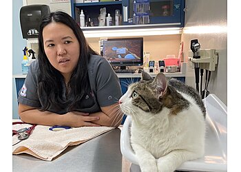 Honolulu Veterinary Clinics King Street Pet Hospital