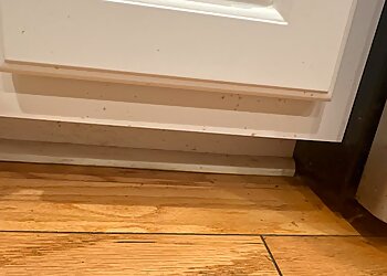 Roseville House Cleaning Services Kings Cleaning