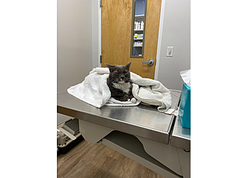 Orlando Veterinary Clinics Kirkman Road Veterinary Clinic