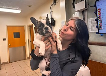 Reno Veterinary Clinics Klaich Animal Hospital