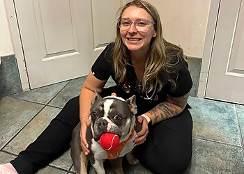 Reno Veterinary Clinics Klaich Animal Hospital