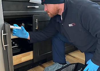 New York Pest Control Companies Knockout Pest