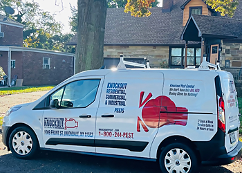 New York Pest Control Companies Knockout Pest