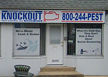 New York Pest Control Companies Knockout Pest Control Inc.