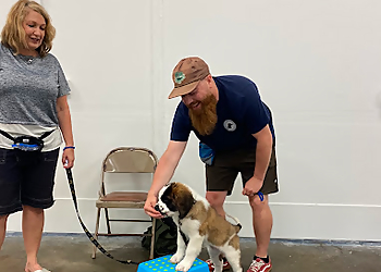 Knox Canine Training - Des Moines, IA Dog Training - Work Image