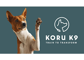 Koru K9  San Francisco Dog Training
