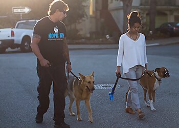 San Francisco Dog Training Koru K9 Dog Training + Rehabilitation