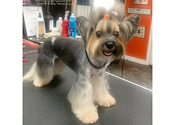 Montgomery Pet Grooming Kritter Kreations