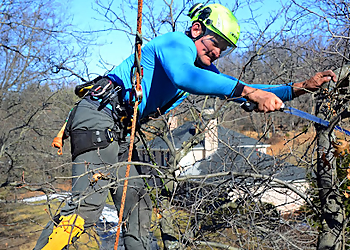 Pittsburgh Tree Services Kruljac Tree Services