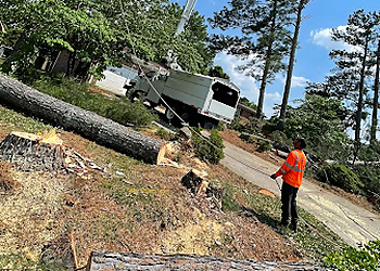 Huntsville Tree Services K’s Tree Specialist LLC