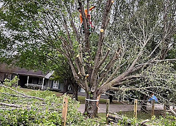 Huntsville Tree Services K’s Tree Specialist LLC
