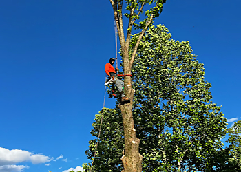 K’s Tree Specialist LLC Huntsville Tree Services image 1