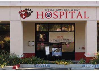 Santa Clarita veterinary clinic LITTLE PAWS DOG & CAT HOSPITAL