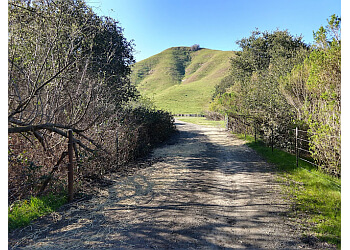 Fairfield Hiking Trails Lynch Canyon Open Space