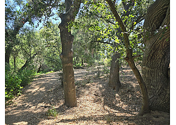 Murrieta Hiking Trails La Alba Trail