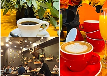 Laredo Cafe La Finca Bruncheria & Cafe