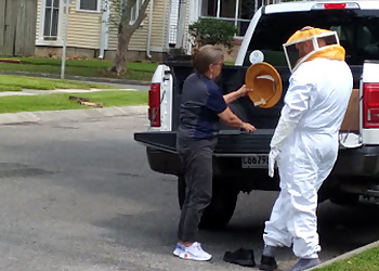 New Orleans Pest Control Companies LaJaunie's Pest Control