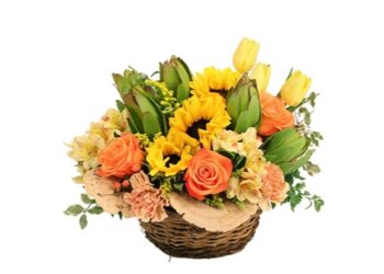 Phoenix Florists La Paloma Flowers & Gifts