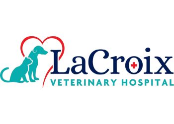 3 Best Veterinary Clinics in Wilmington, NC - Expert ...
