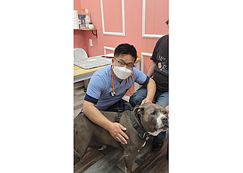 Inglewood Veterinary Clinics Ladera Pet Clinic