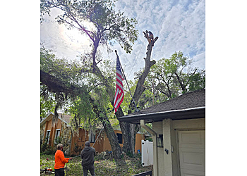 Lady Maria Tree Services LLC - Orlando, FL Tree Services