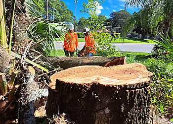 Lady Maria Tree Services LLC - Orlando, FL Tree Services