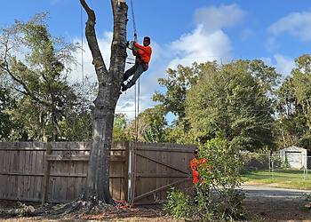 Lady Maria Tree Services LLC Lady Maria Tree Services LLC - Orlando, FL Tree Services