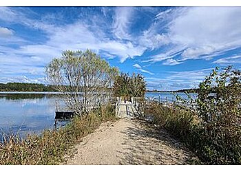 Tallahassee Hiking Trails Lafayette Heritage Trail Park