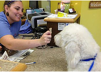 Lafayette Veterinary Clinics Lafayette Veterinary Care Center