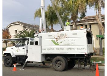 Laguna Tree Service Elk Grove Tree Services