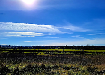 Laguna de Santa Rosa Trail - Santa Rosa, CA Hiking Trails - Trail Image