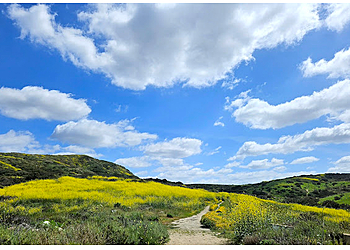 Carlsbad Hiking Trails Lake Calavera