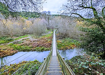 Lake Chabot Regional Park - Hayward, CA Hiking Trails - Trail Image