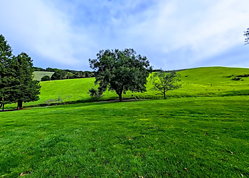 Lake Chabot Regional Park Lake Chabot Regional Park - Hayward, CA Hiking Trails - Scenic View Image