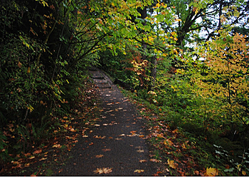 Kent Hiking Trails Lake Fenwick Park